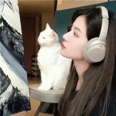 小妇人寻夫记